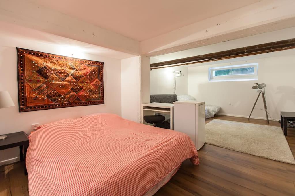 R-Appartements Strasbourg Cosy Orangerie Pour Vos Sejours En Famille Ou Entre Amis Eksteriør billede